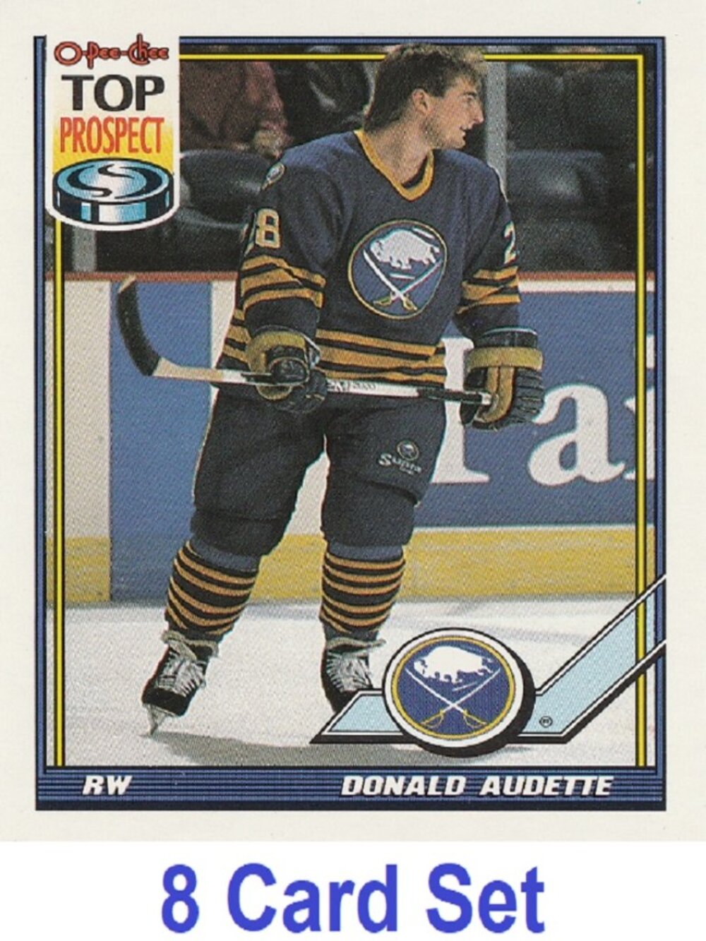 Donald Audette Hockey Card Collection